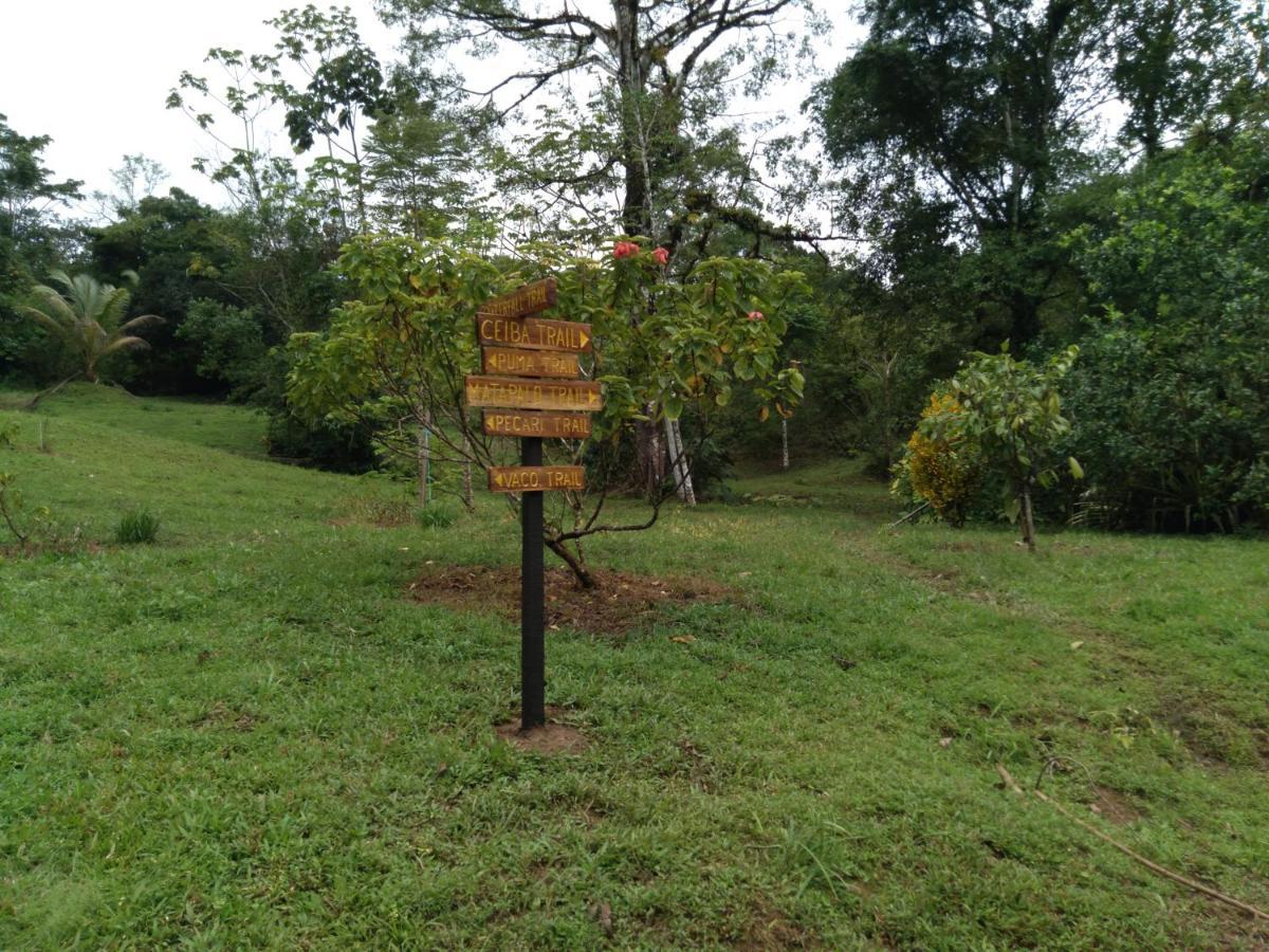 Finca Sueno De Osa Puerto Jimenez Exterior photo